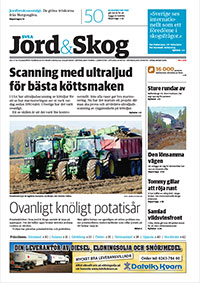 Jord & Skog